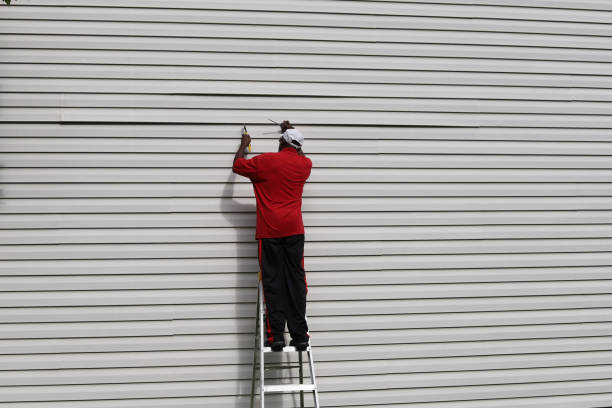 Best Steel Siding Installation  in Lomira, WI